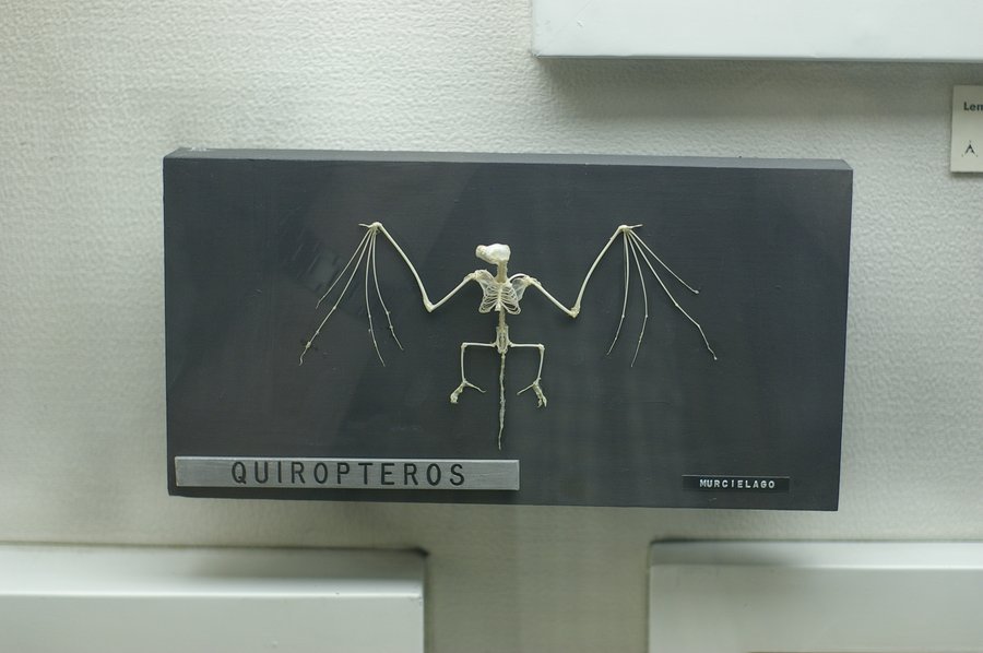 60