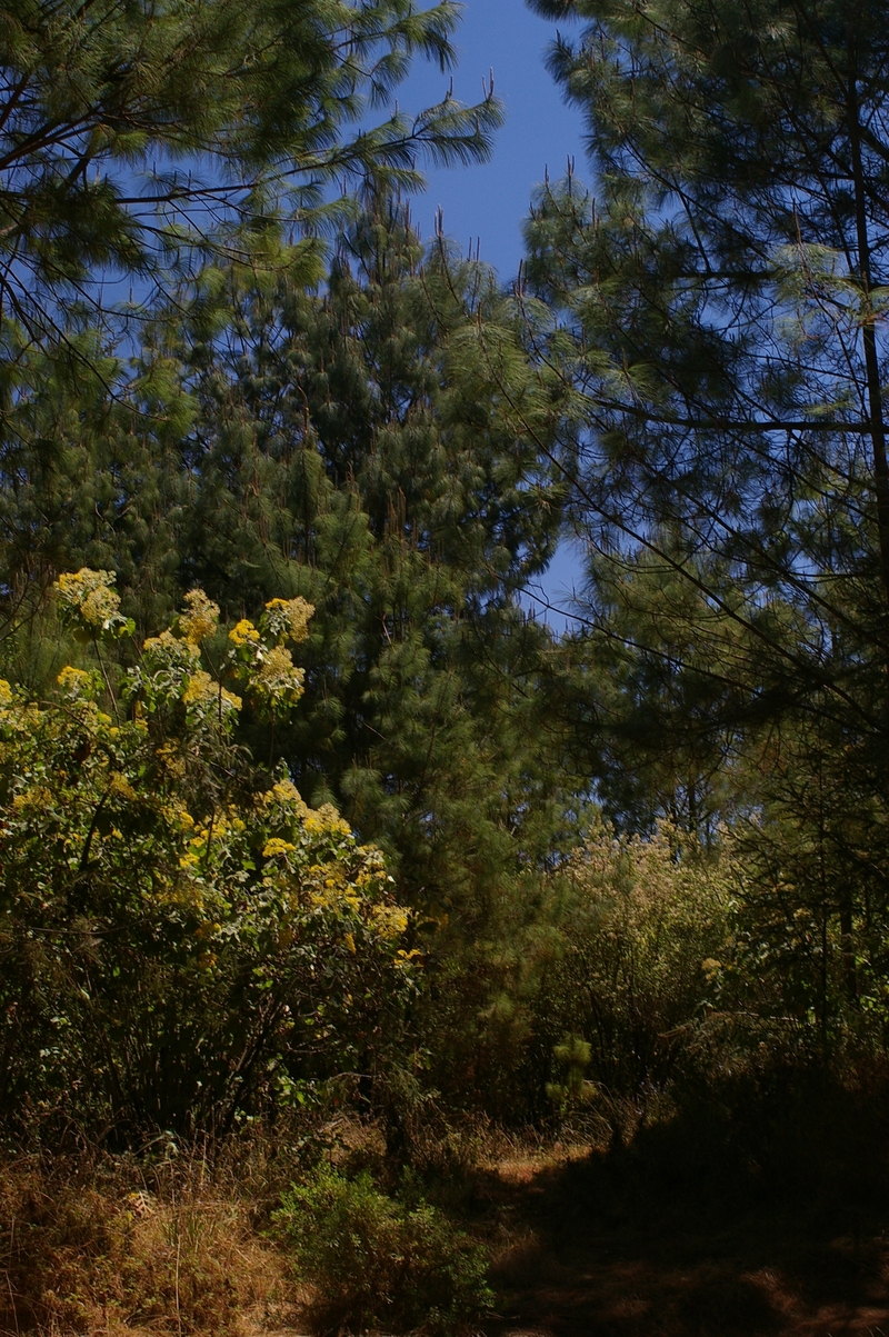 200