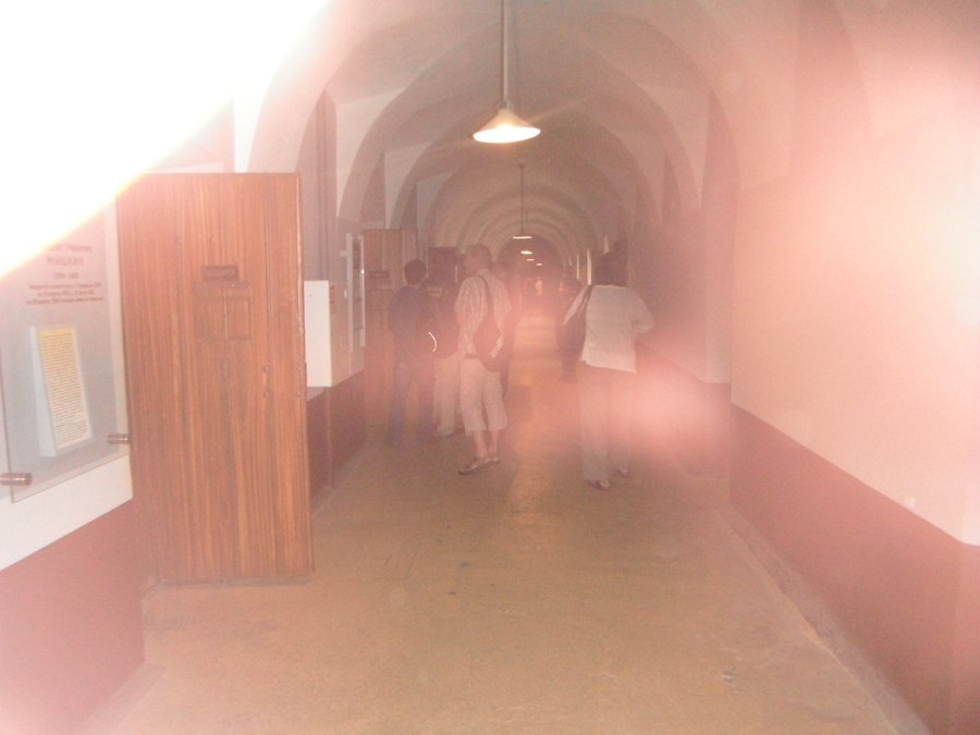 29