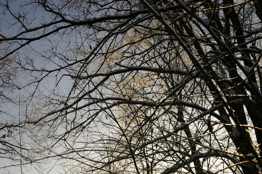 79