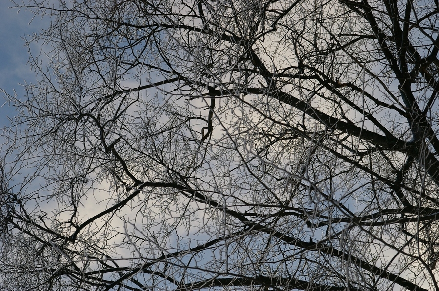 96