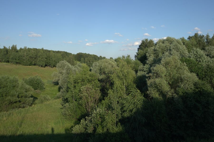 260