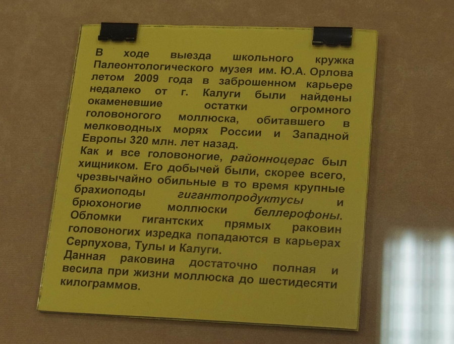 253