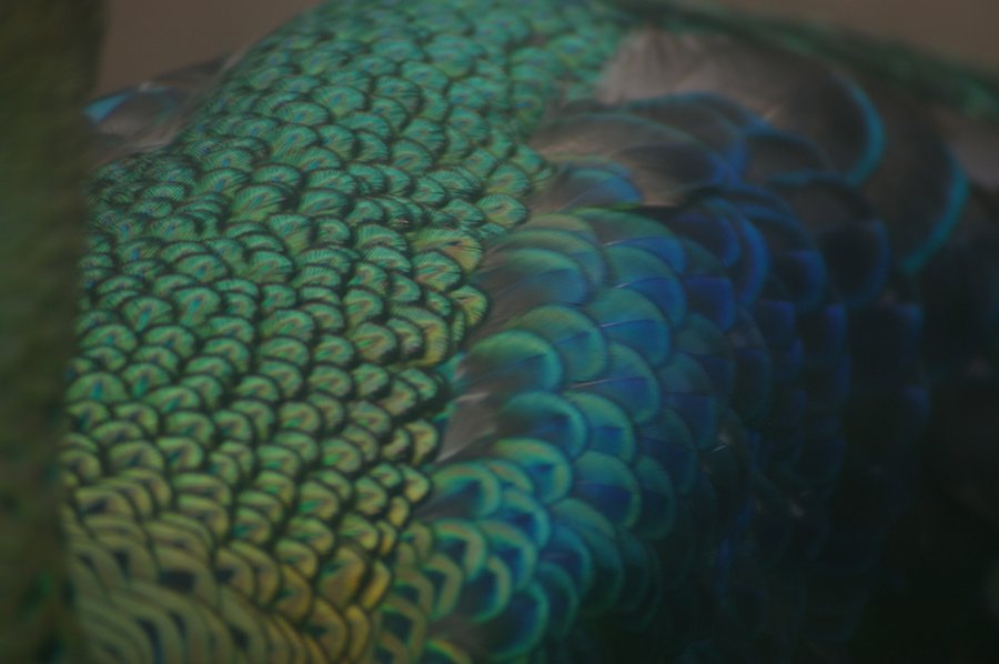 273