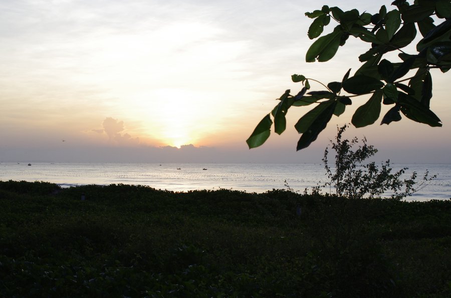 pic-0000