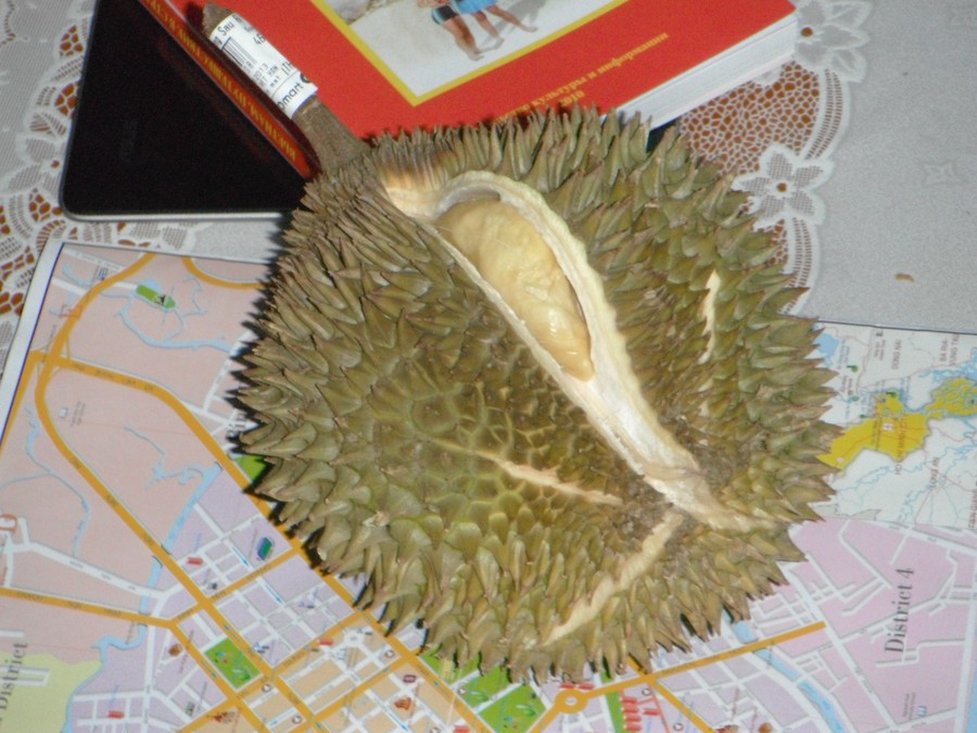 241
