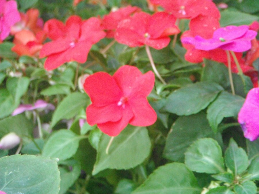 78