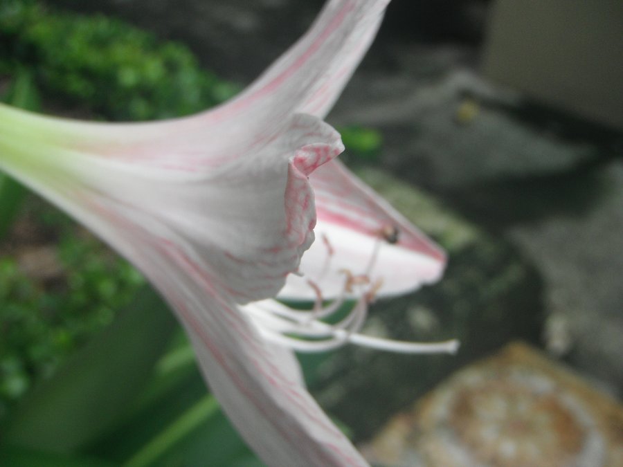 200