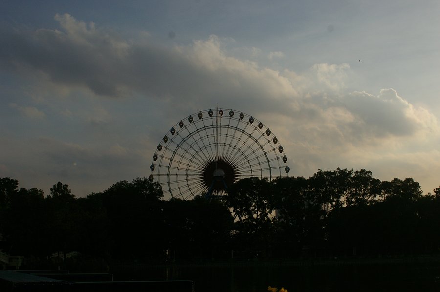 242