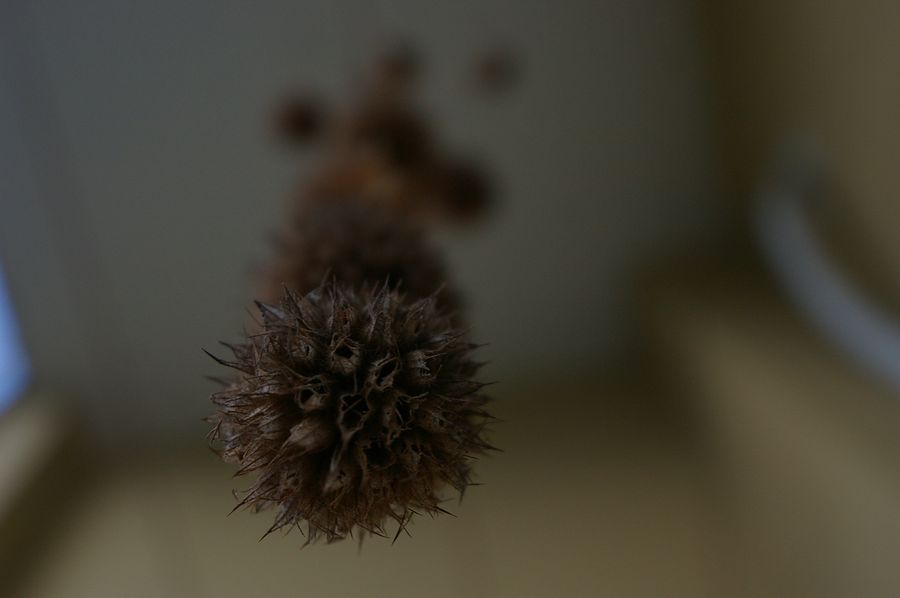 71