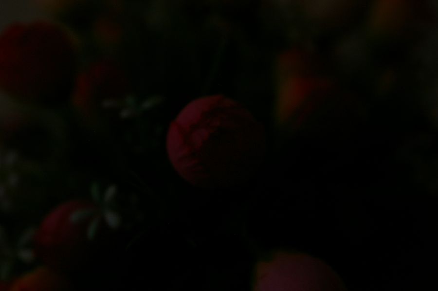 84