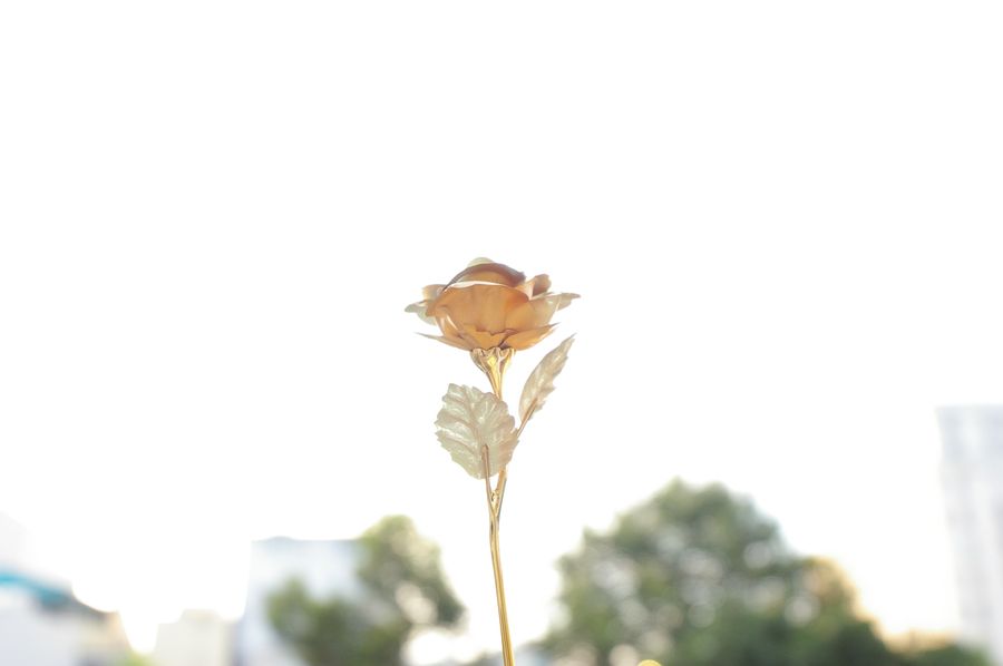 85