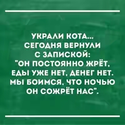 201730.jpg 