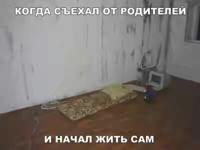 2019.jpg