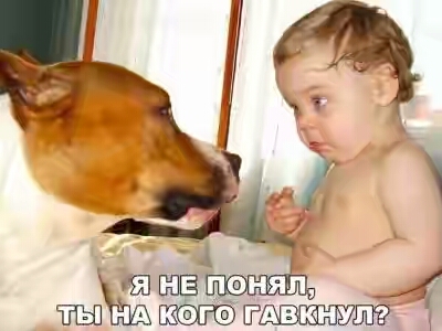 2018.jpg 