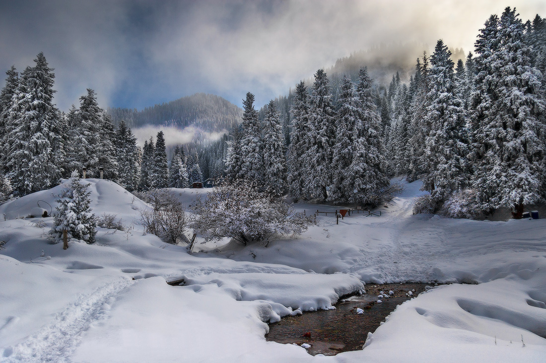 winter