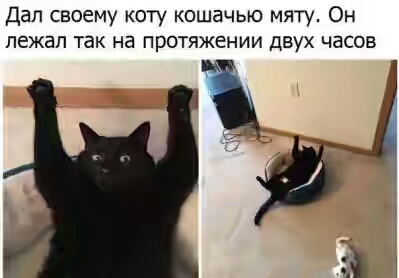 201730.jpg 