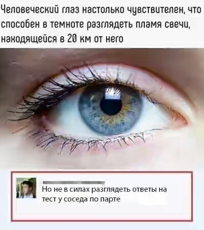 201730.jpg 