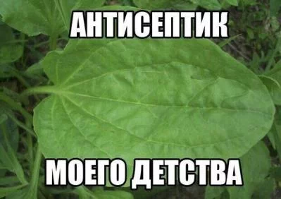 201630.jpg 