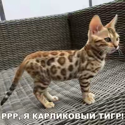 201730.jpg