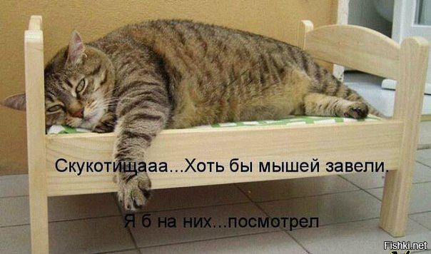 201630.jpg