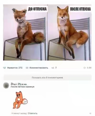 201730.jpg