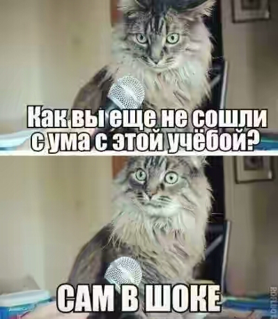 201730.jpg