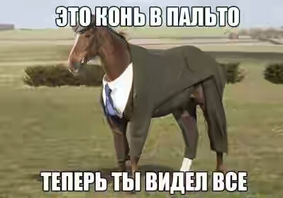 202030.jpg