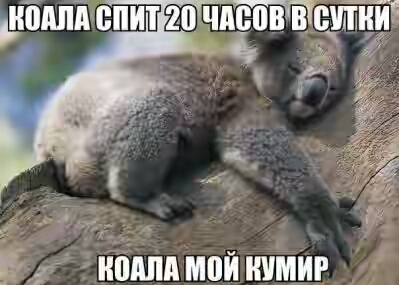 201630.jpg
