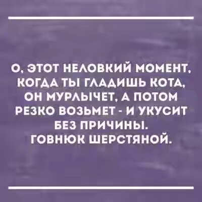 201730.jpg 