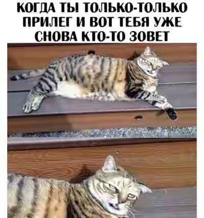 202050.jpg