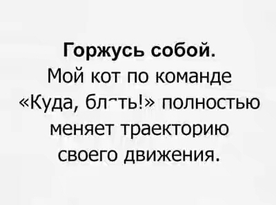 201630.jpg