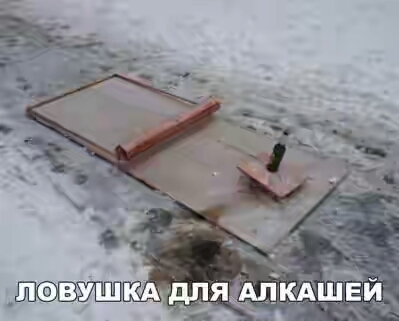 2012.jpg