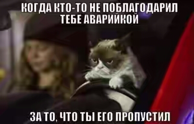 201730.jpg 