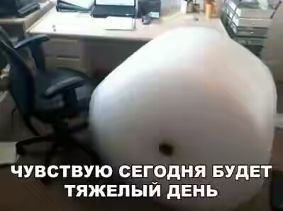 201630.jpg 