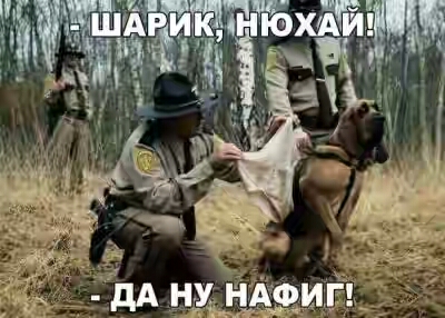 2017.jpg 