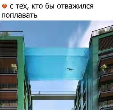 201730.jpg 