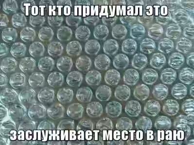 202050.jpg