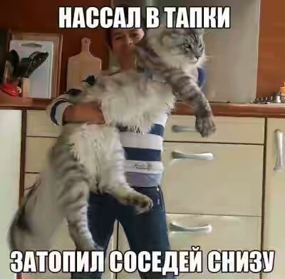 2012.jpg 