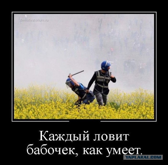http://demotivatorium.ru