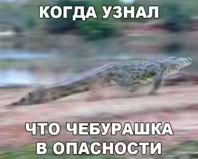 2012.jpg