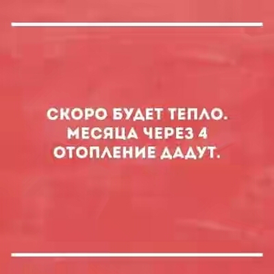 201730.jpg 