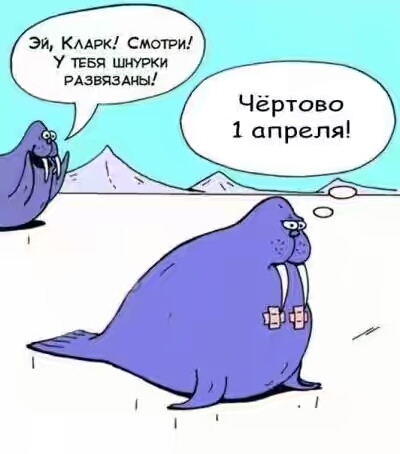 2019.jpg 