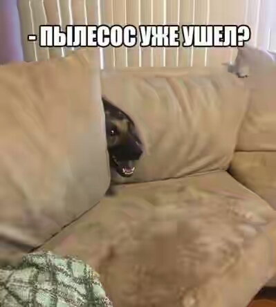 2018.jpg 
