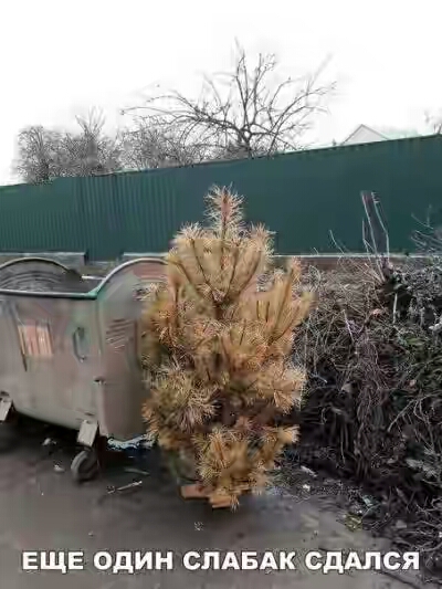 2019.jpg 