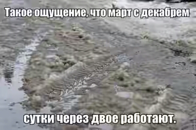 2019.jpg 