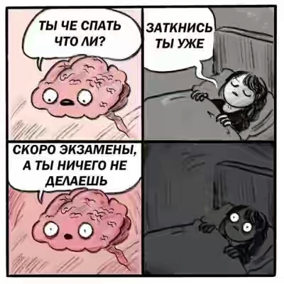 201730.jpg 