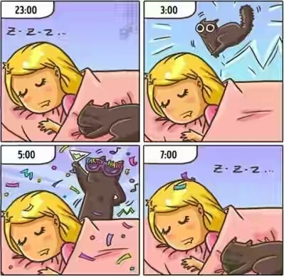 2018.jpg 