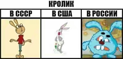 201630.jpg