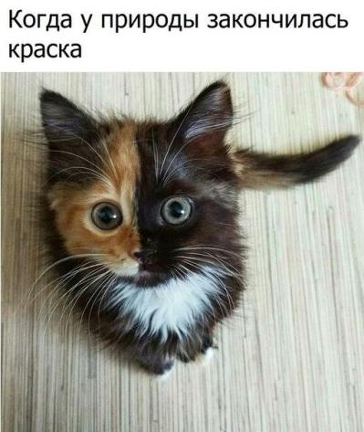 2018.jpg 